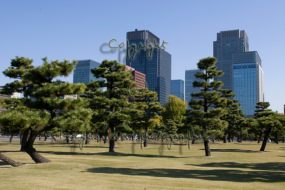20081201_J7T_0061-1