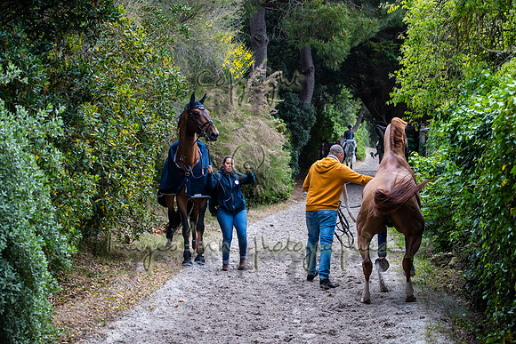 20220505_EKL_0033