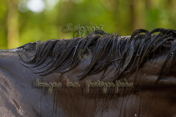 20120602_EKL_0007