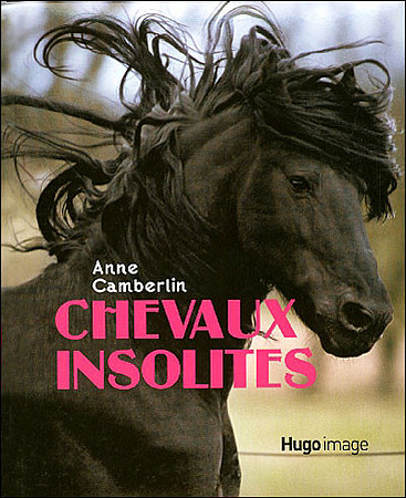 Chevaux Insolites