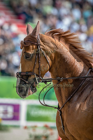 20140906_EKL_0176
