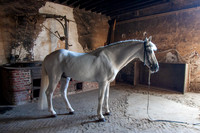 20080729_EKL_0027
