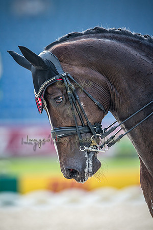 20150812_EKL_0288