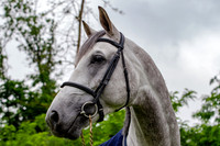 20080607_EKL_0013