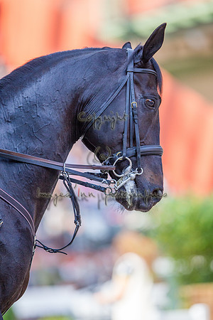 20110417_EKL_0163