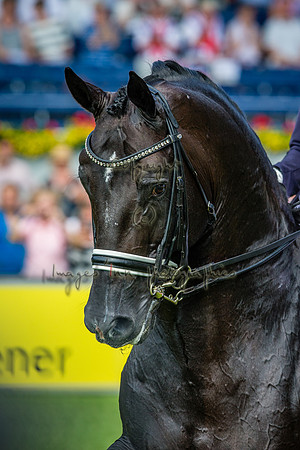 20150813_EKL_0244