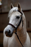20081030_EKL_0018