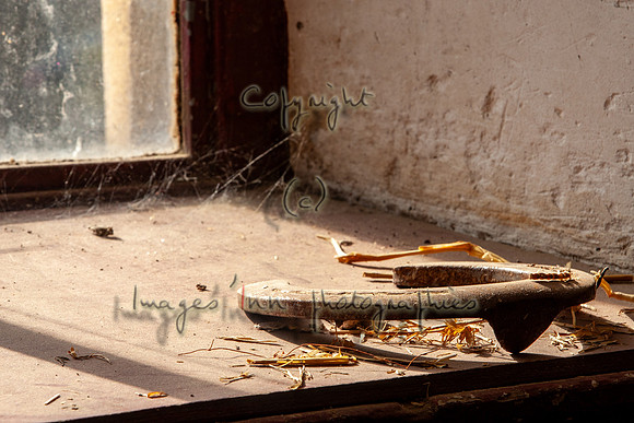 20081003_EKL_0116