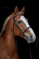 20081030_EKL_0024