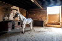 20080729_EKL_0023