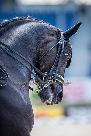 20150813_EKL_0228