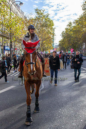 20131111_EKL_0077