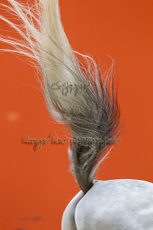 20120318_EKL_0029