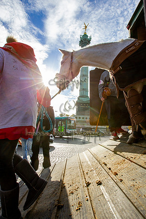 20131111_EKL_0033