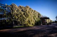 20201003_EKL_0020