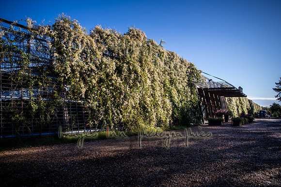 20201003_EKL_0020