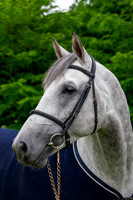 20080607_EKL_0008