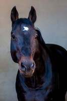 20081025_EKL_0005