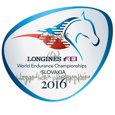 Samorin 2016