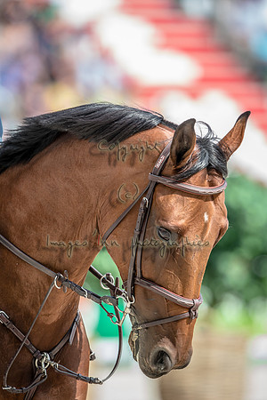20140907_EKL_0022