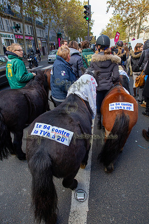 20131111_EKL_0107