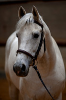 20081030_EKL_0019
