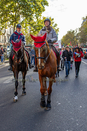 20131111_EKL_0083