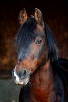 20081003_EKL_0020