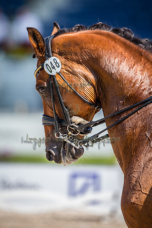 20150813_EKL_0006