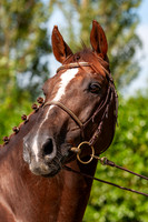 20080716_EKL_0070