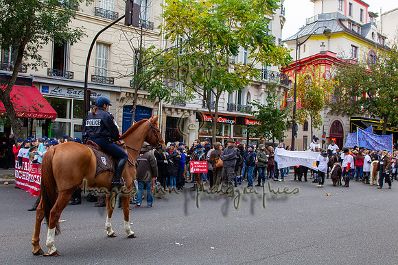 20131111_EKL_0181