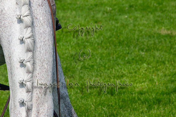 20130608_EKL_0271