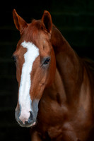 20081021_EKL_0007