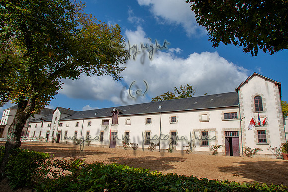 20081003_EKL_0129