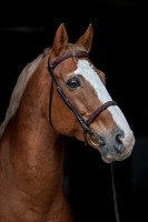 20081030_EKL_0025