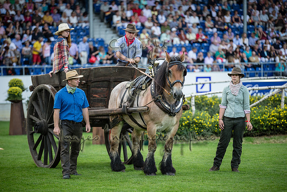 20150811_EKL_0117