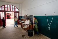 20080717_EKL_0005