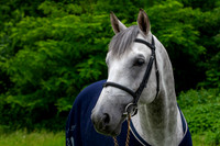 20080607_EKL_0018