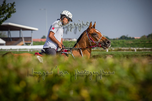 20160916_EKL_0006