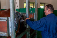 20080717_EKL_0023