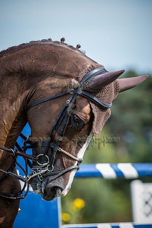 20140928_EKL_0134