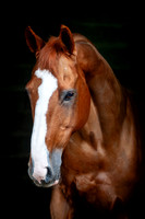 20081021_EKL_0009