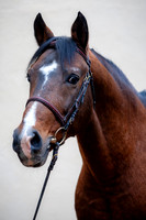 20081030_EKL_0003