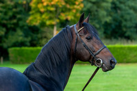 20081002_EKL_0029