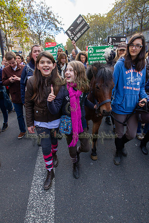 20131111_EKL_0114
