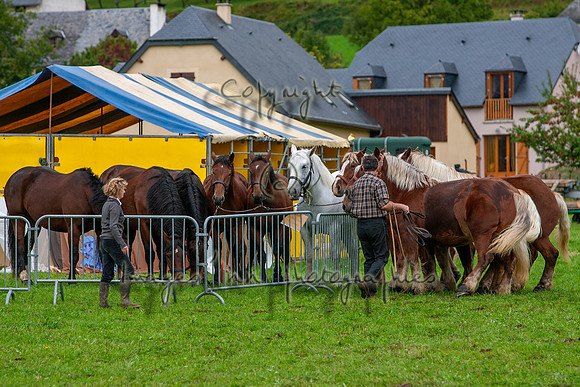 20061007_EKL_0087