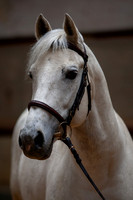 20081030_EKL_0020