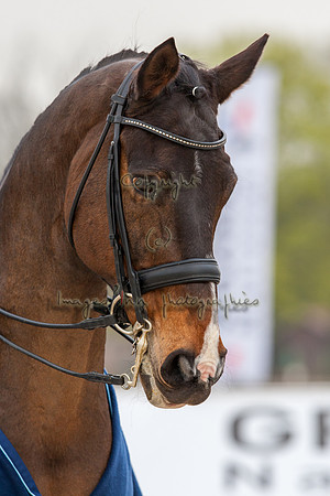 20090405_EKL_0123