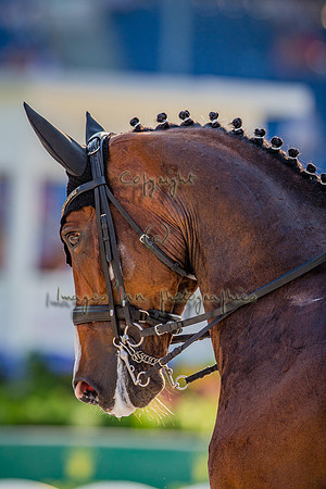 20150813_EKL_0353