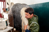 20080717_EKL_0007